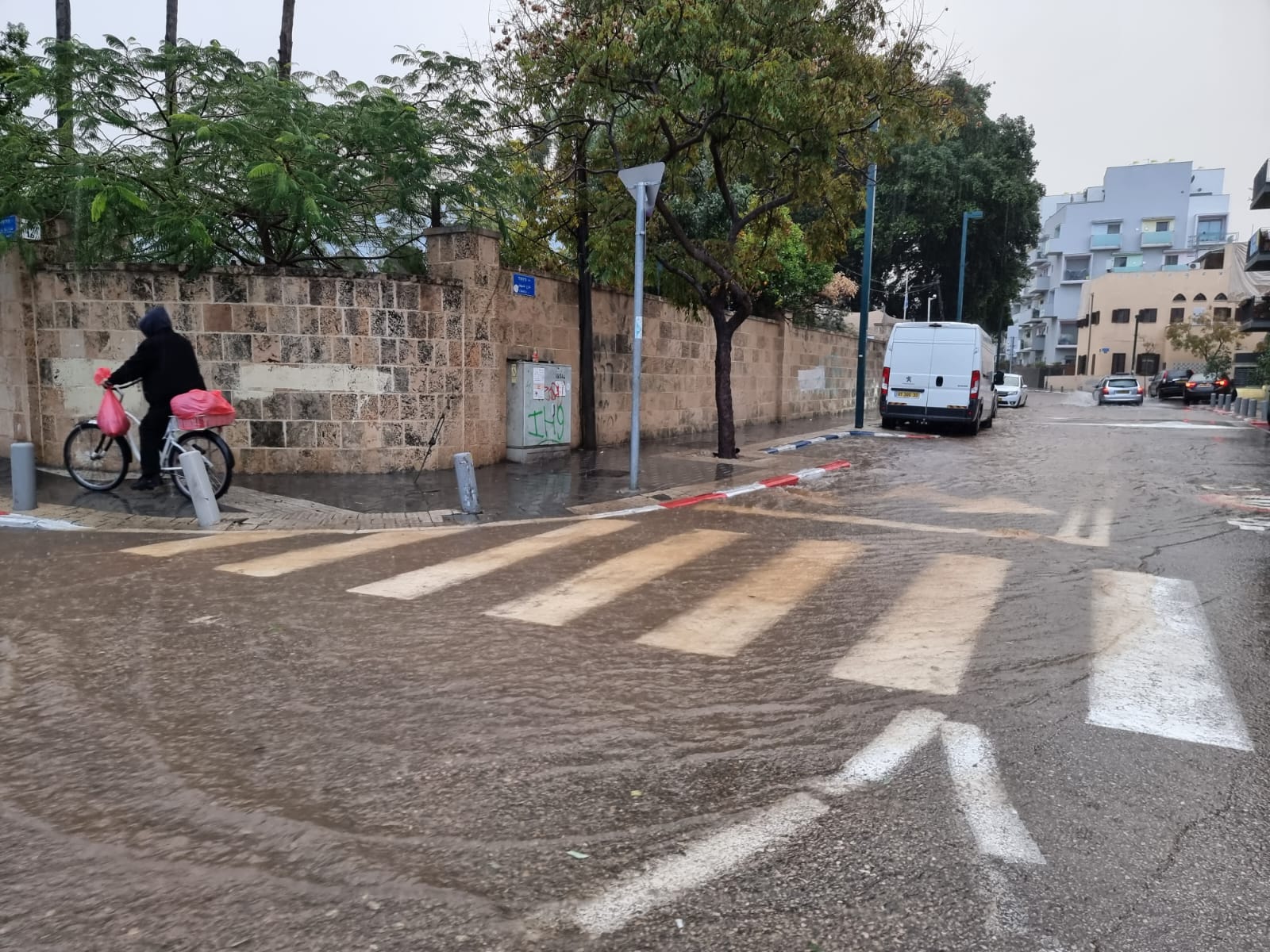 WhatsApp Image 2021-12-21 at 4.05.34 PM.jpeg